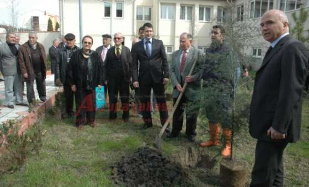 Çorlu Huzurevinde Kalan Yaşlılar Ağaç Dikti