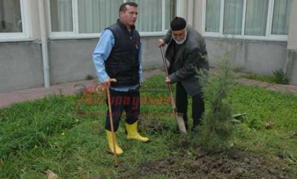 Çorlu Huzurevinde Kalan Yaşlılar Ağaç Dikti