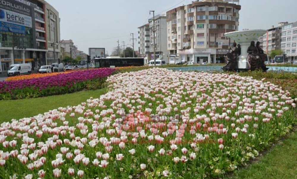 Çorlu Lalelerle Bezendi