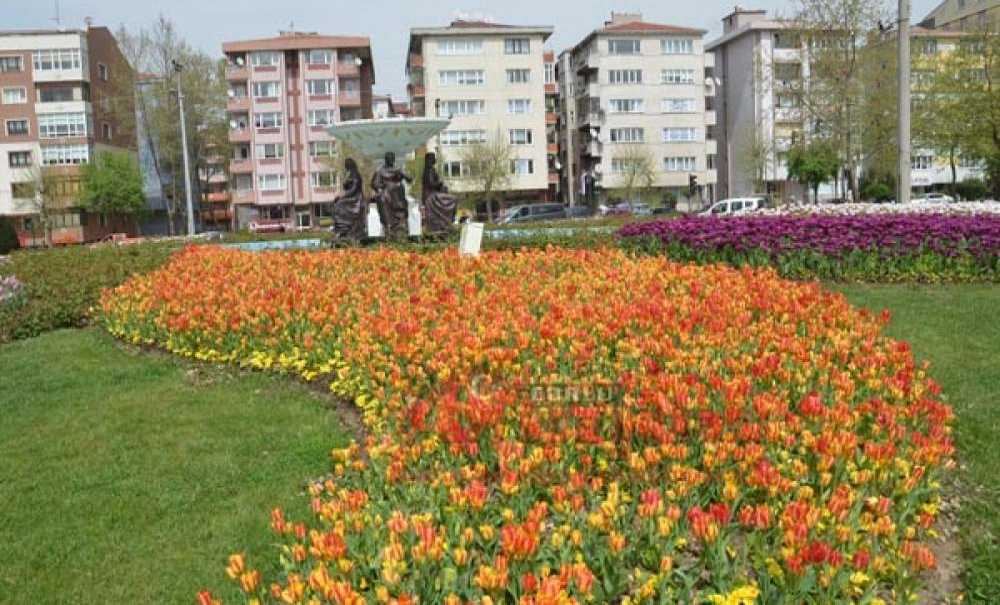 Çorlu Lalelerle Bezendi