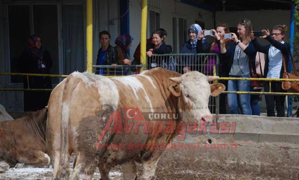 Kadın Girişimci Adaylarından Asmer Nevzat İzgi Çiftliği`ne Ziyaret