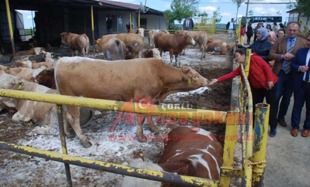 Kadın Girişimci Adaylarından Asmer Nevzat İzgi Çiftliği`ne Ziyaret