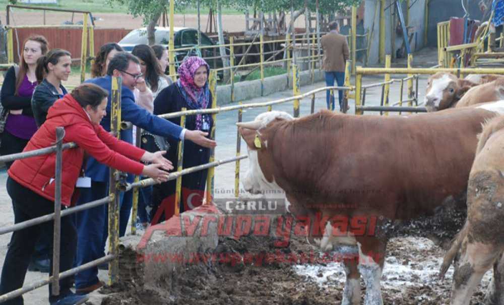 Kadın Girişimci Adaylarından Asmer Nevzat İzgi Çiftliği`ne Ziyaret