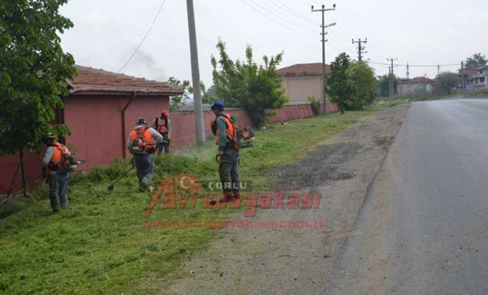 Park Ve Bahçeler Müdürlüğü Ekipleri Çalışmalarını Sürdürüyor