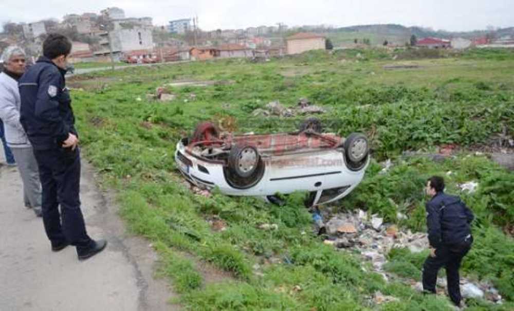 Bak Şu Köpeğin Yaptığına