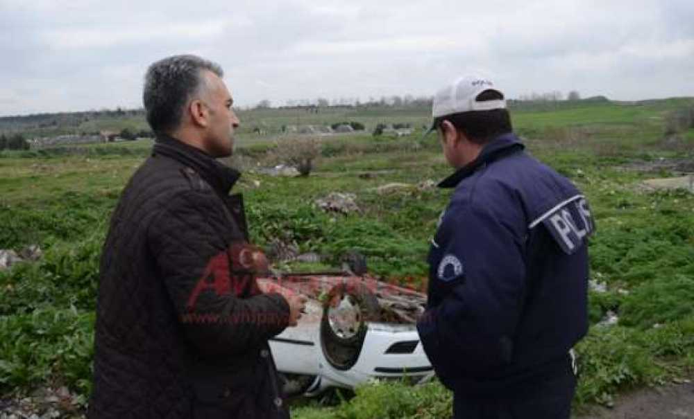 Bak Şu Köpeğin Yaptığına