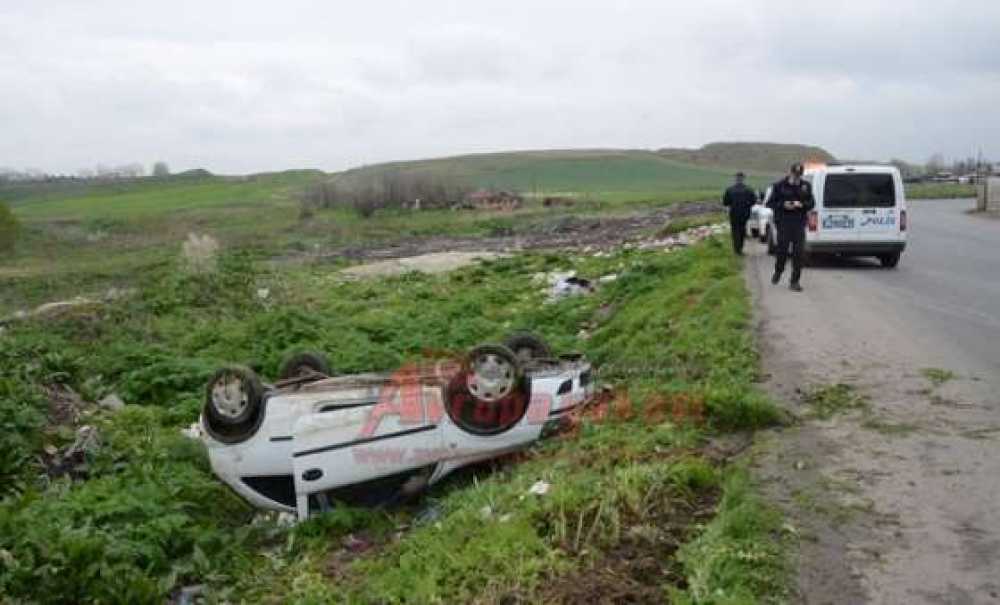 Bak Şu Köpeğin Yaptığına