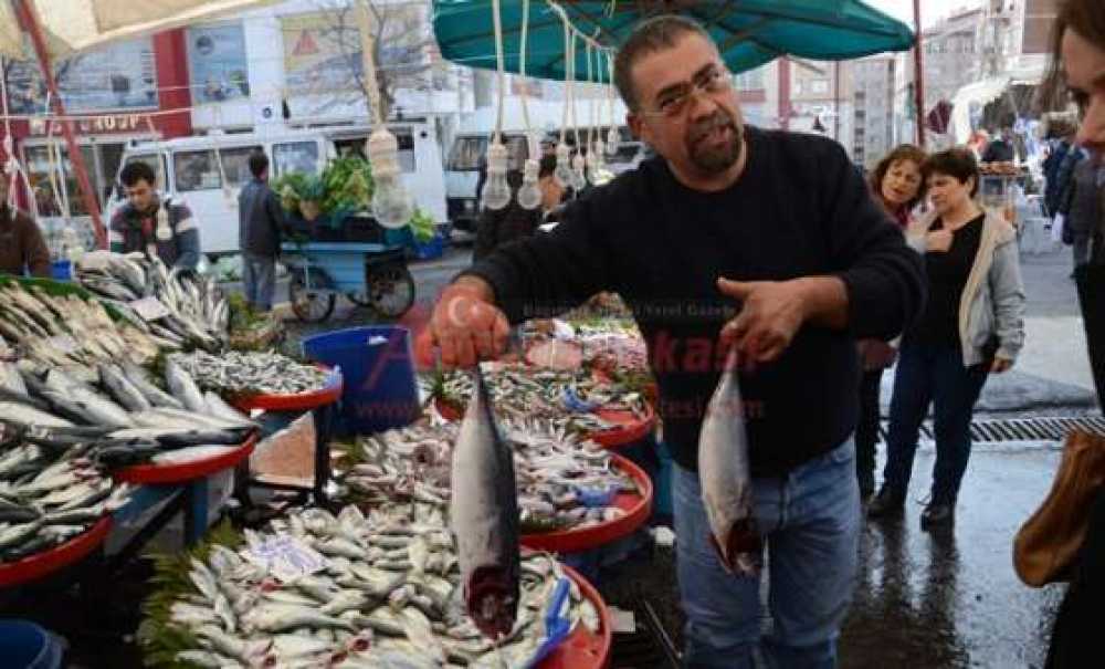 Balık Satışları Arttı