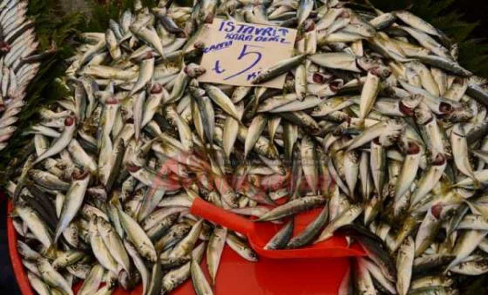 Balık Satışları Arttı