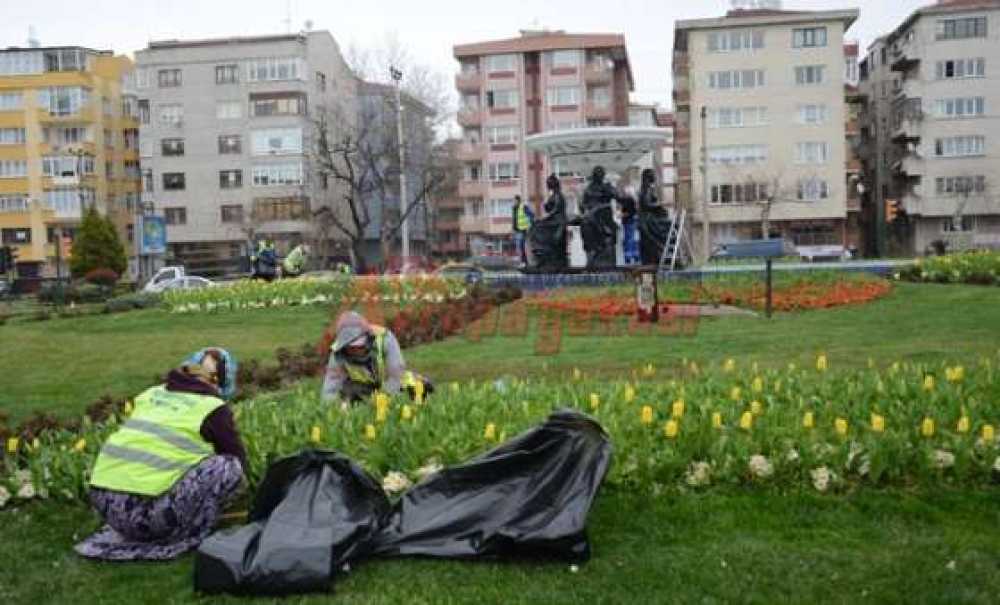 Havuzlara Bakım Ve Peyzaj Çalışması