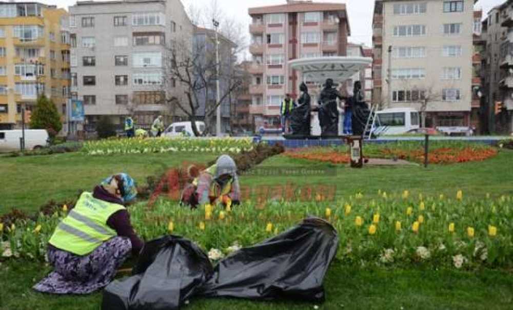 Havuzlara Bakım Ve Peyzaj Çalışması