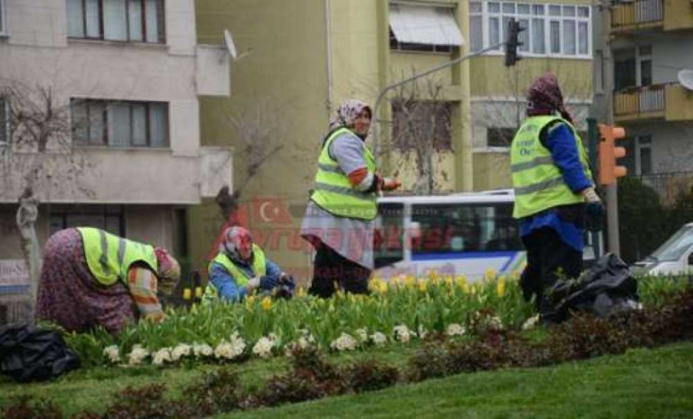 Havuzlara Bakım Ve Peyzaj Çalışması