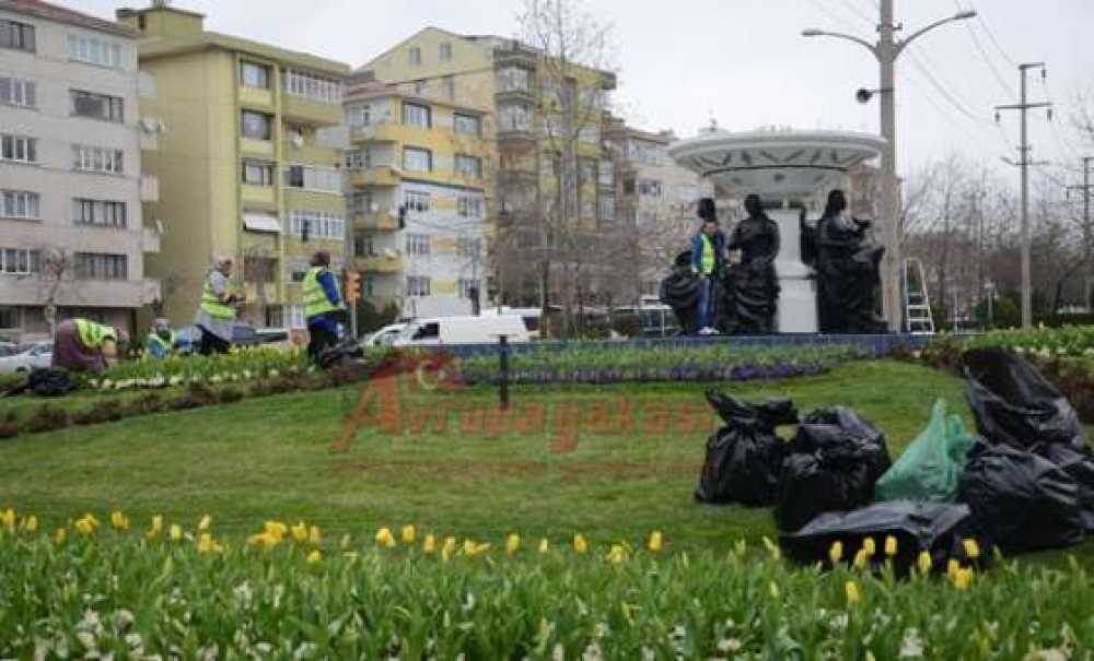 Havuzlara Bakım Ve Peyzaj Çalışması