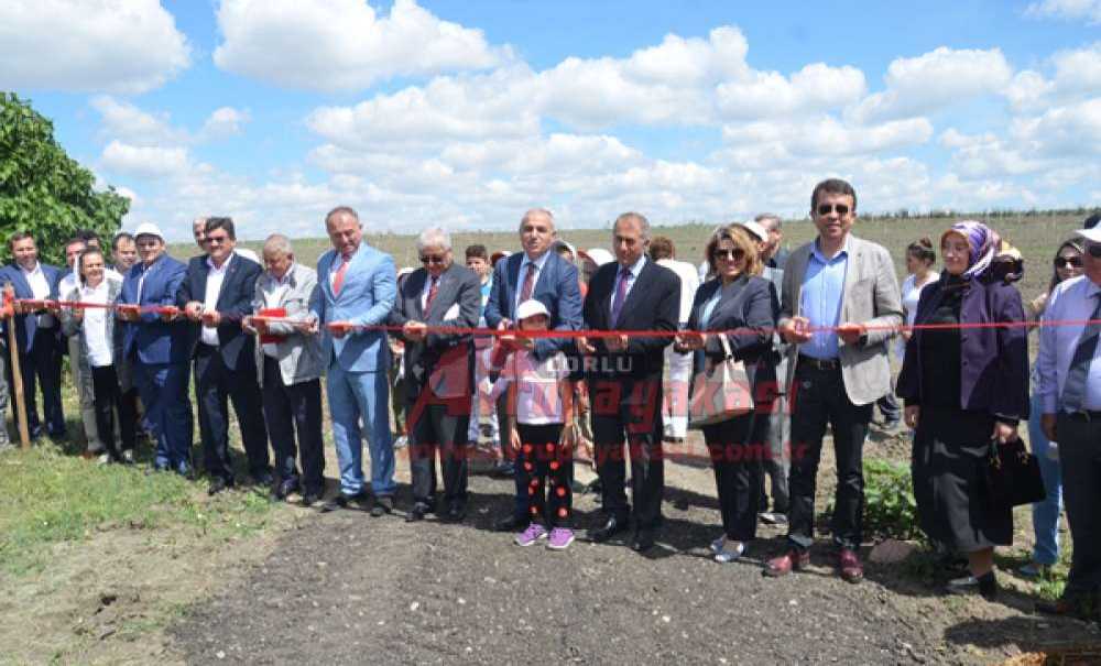 Örnek Ceviz Bahçesi Açıldı