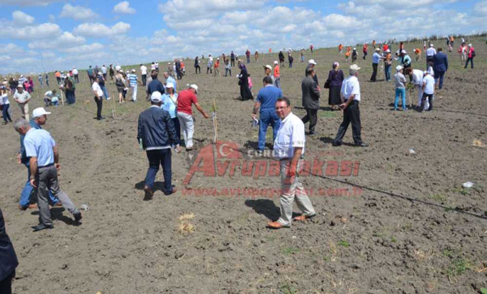 Örnek Ceviz Bahçesi Açıldı