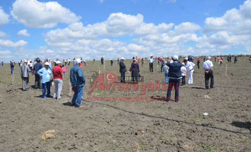 Örnek Ceviz Bahçesi Açıldı
