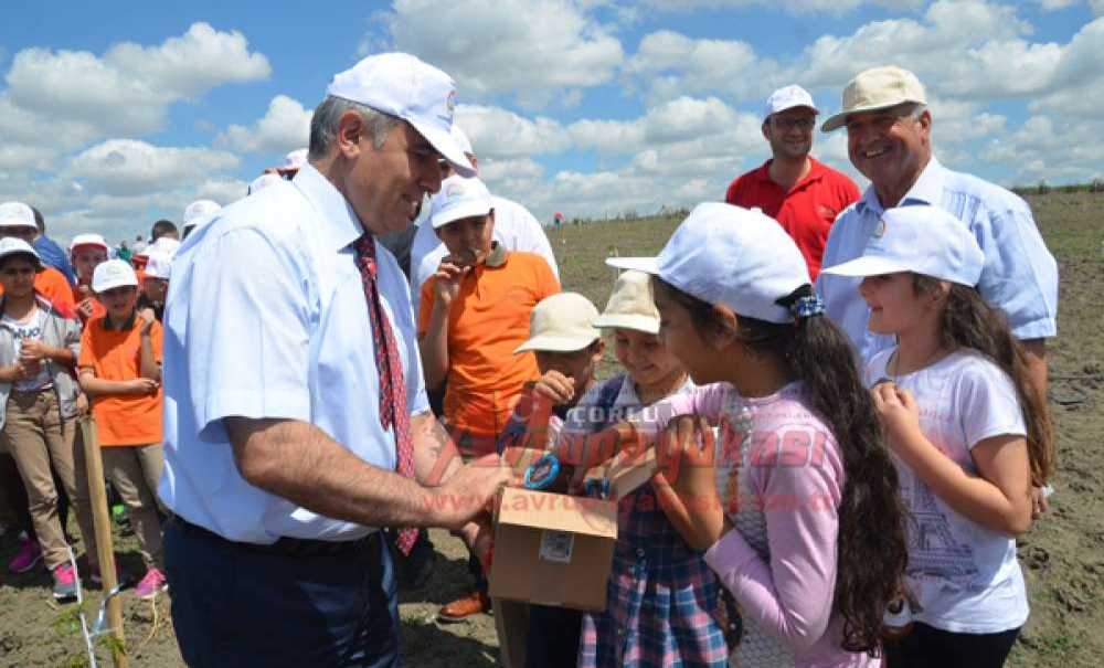 Örnek Ceviz Bahçesi Açıldı