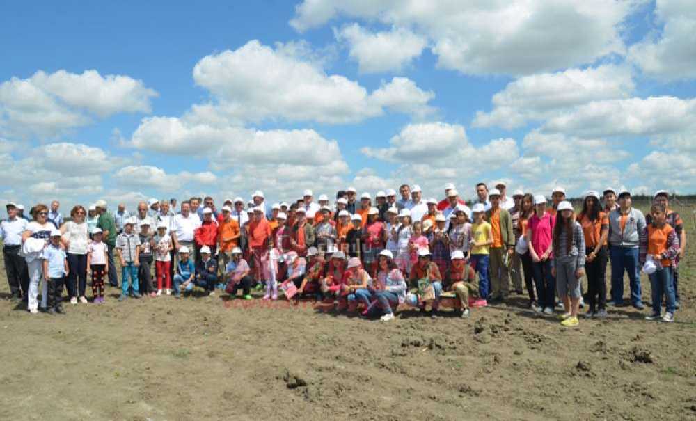 Örnek Ceviz Bahçesi Açıldı