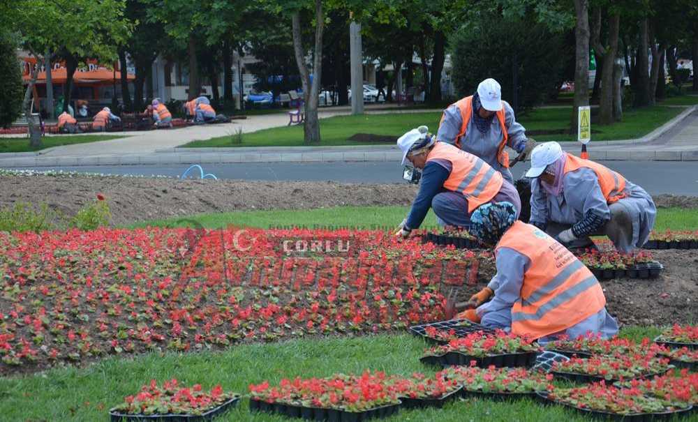 Büyükşehir Çorlu'ya İlk Çiçeğini Ekti
