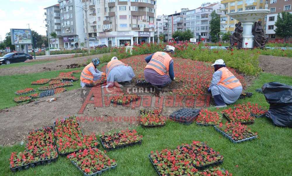 Büyükşehir Çorlu'ya İlk Çiçeğini Ekti