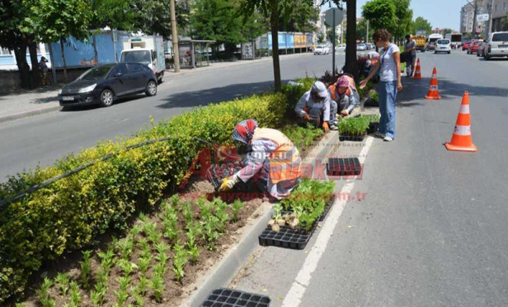 Büyükşehir Çorlu'yu Çiçeklendiriyor