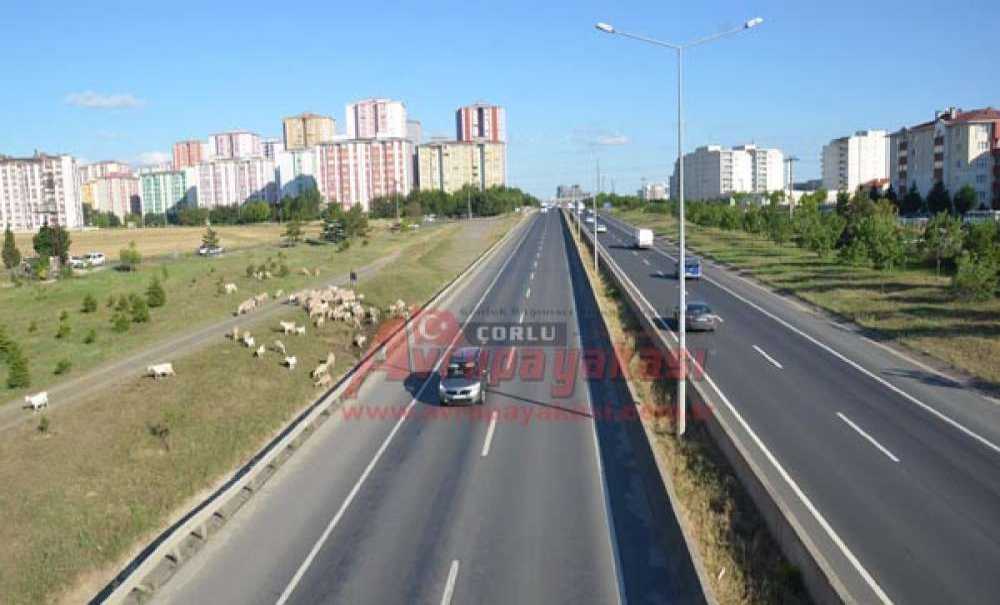 Vatandaşlar Çevre Yoluna Bağlantı İstiyor “Artık Şu Sorunu Çözün”