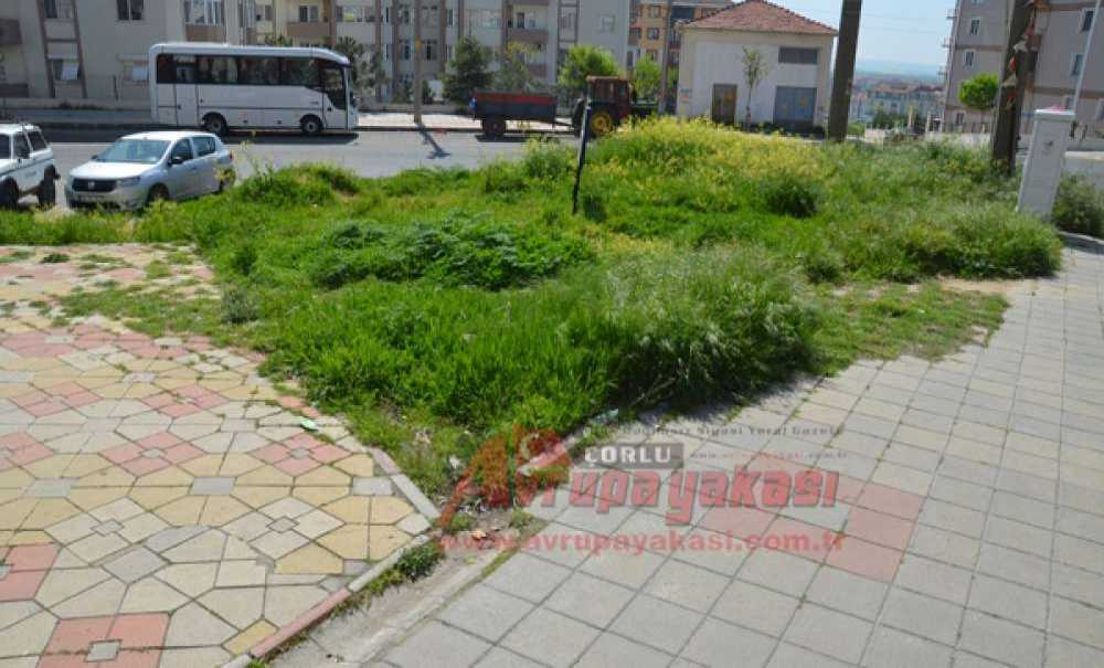 “Teşekkürler Çorlu Belediyesi”