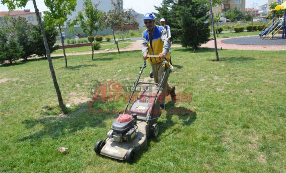 Çorlu Belediyesi'nden Parklara Bakım