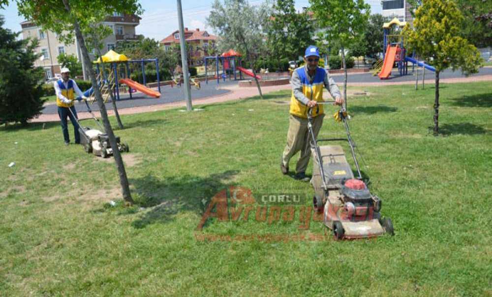 Çorlu Belediyesi'nden Parklara Bakım