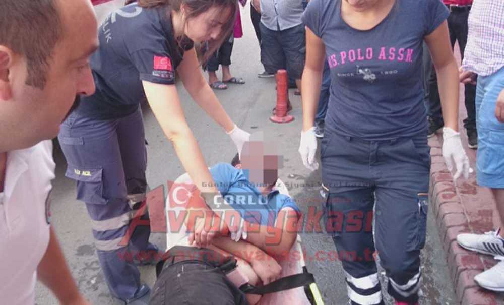 Kapımızdaki Tehlike Bonzai