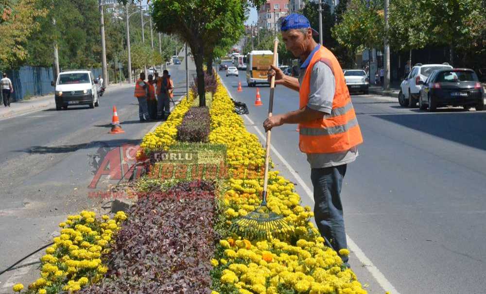 Park Ve Bahçeler Müdürlüğü Çalışıyor