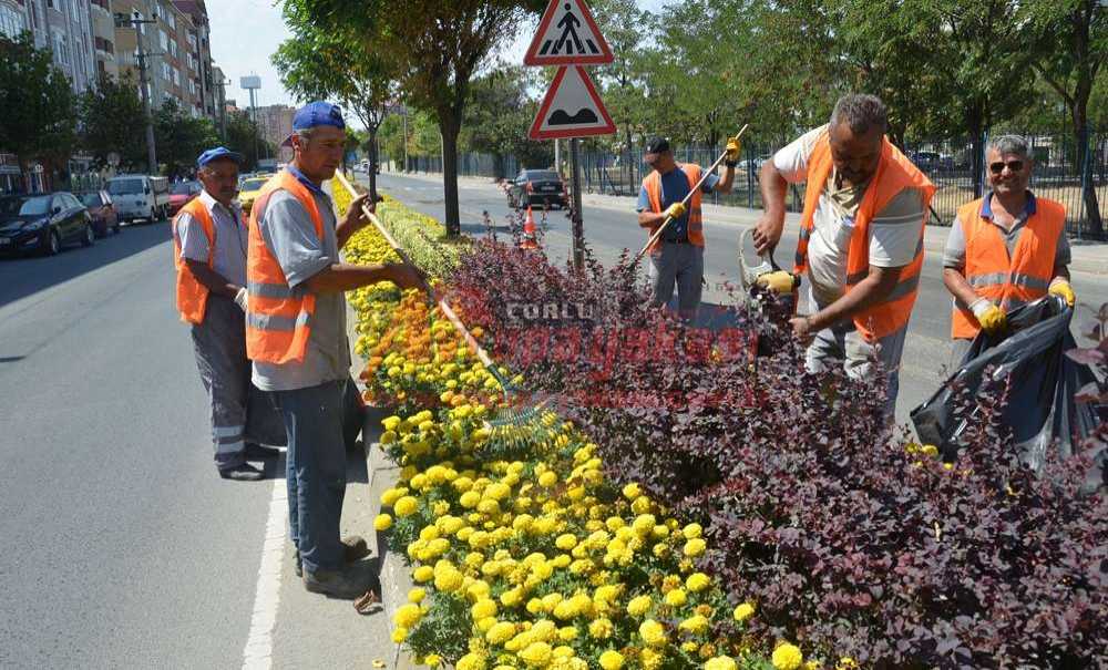Park Ve Bahçeler Müdürlüğü Çalışıyor