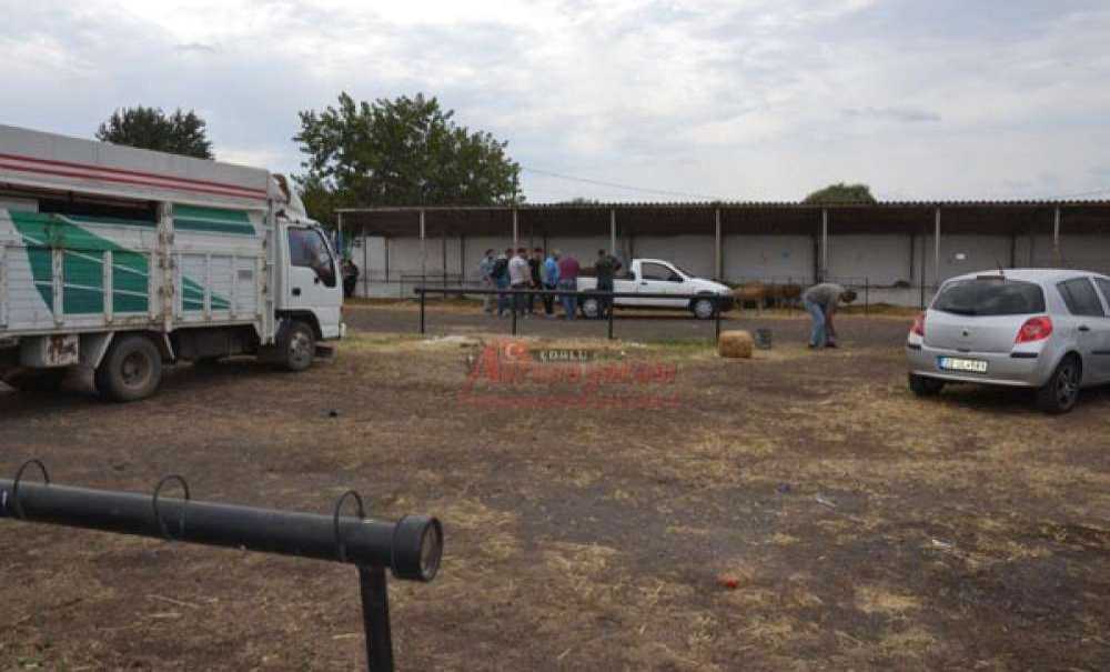 Besicilerin Yüzü Güldü