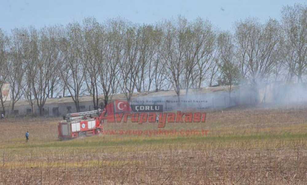 Tavuk Çiftliğinde Yangın