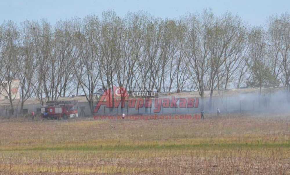 Tavuk Çiftliğinde Yangın