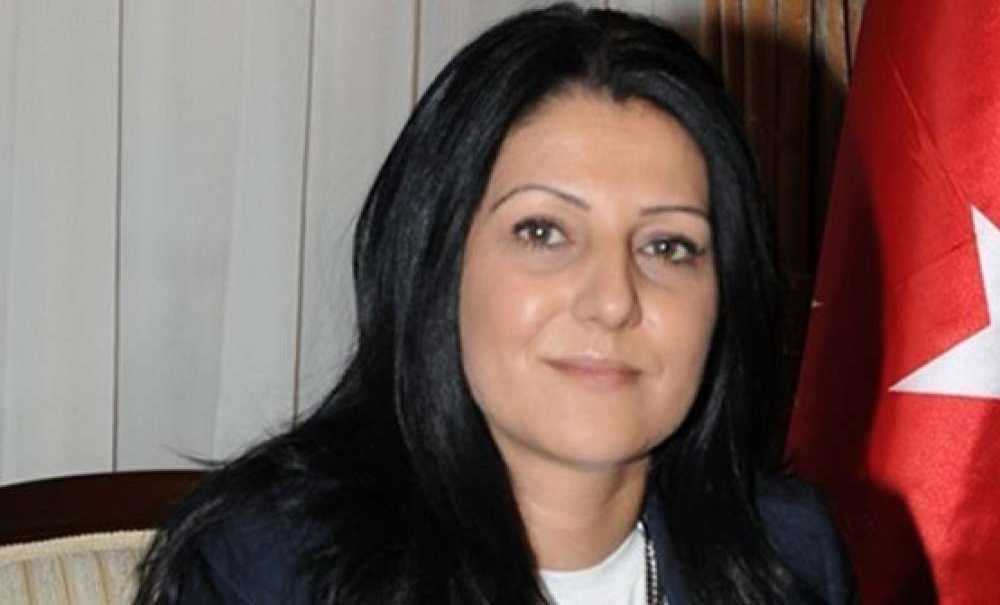 Özlem Yemişçi, Başbakan'ın Temsilcisi
