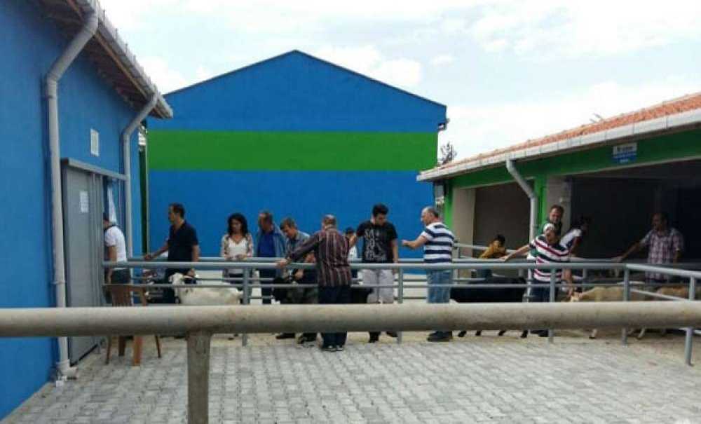 Çorlu Mezbahası'nda 522 Kurbanlık Kesildi