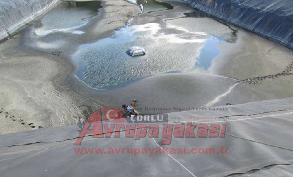 Gübre Çukuruna Düşen Tilkileri İtfaiye Kurtardı