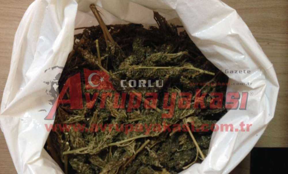 Çorlu'da Zehir Tacirlerine 3. Dalga Operasyon