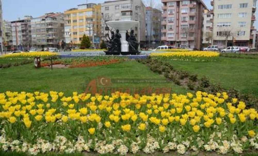 Çorlu Çiçek Açtı