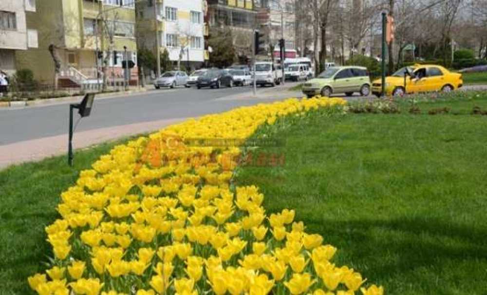 Çorlu Çiçek Açtı