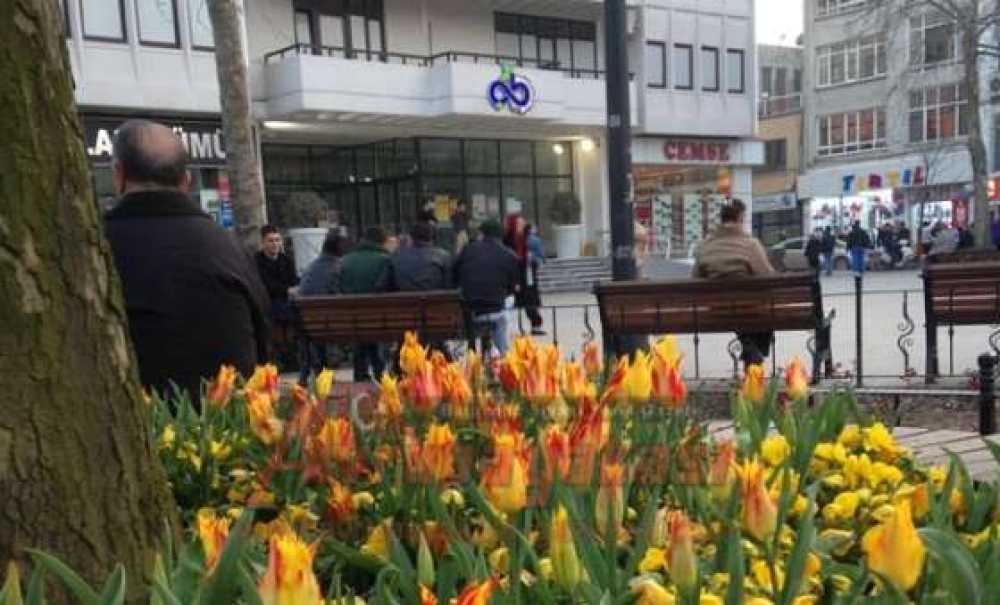 Çorlu Çiçek Açtı