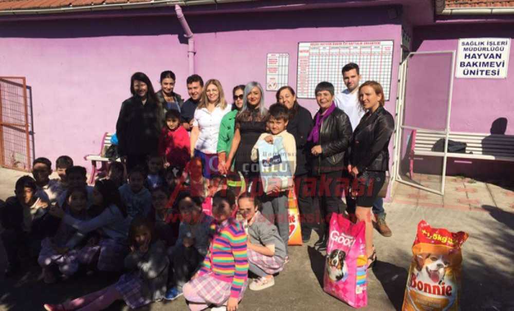 En İlginç Doğum Günü Kutlaması