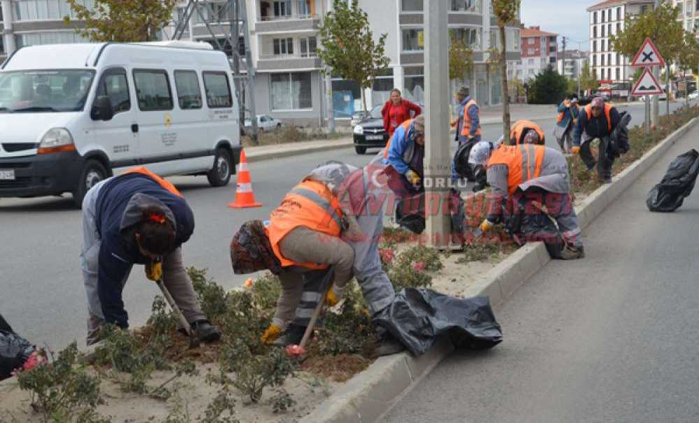 Büyükşehirden Yeşil Alanlara Bakım
