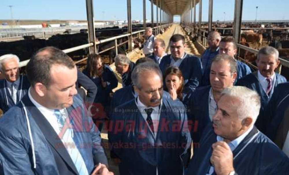Angus Çiftliği Kapılarını Milletvekillerine Açtı