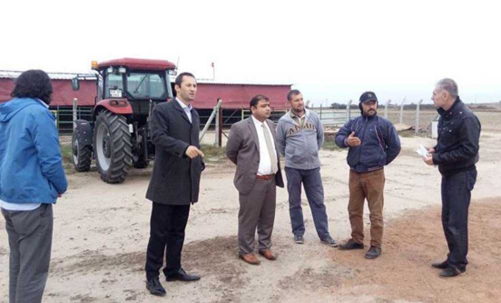 Ergeneli Genç Çiftçilerin Düveleri Teslim Edildi