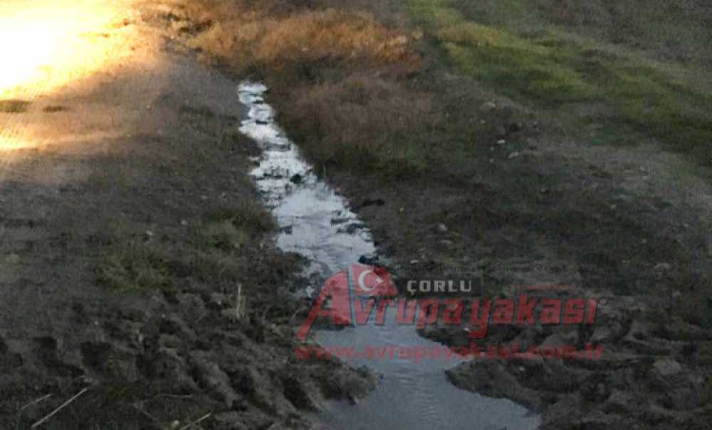 Sular Akıyor Teski Bakıyor