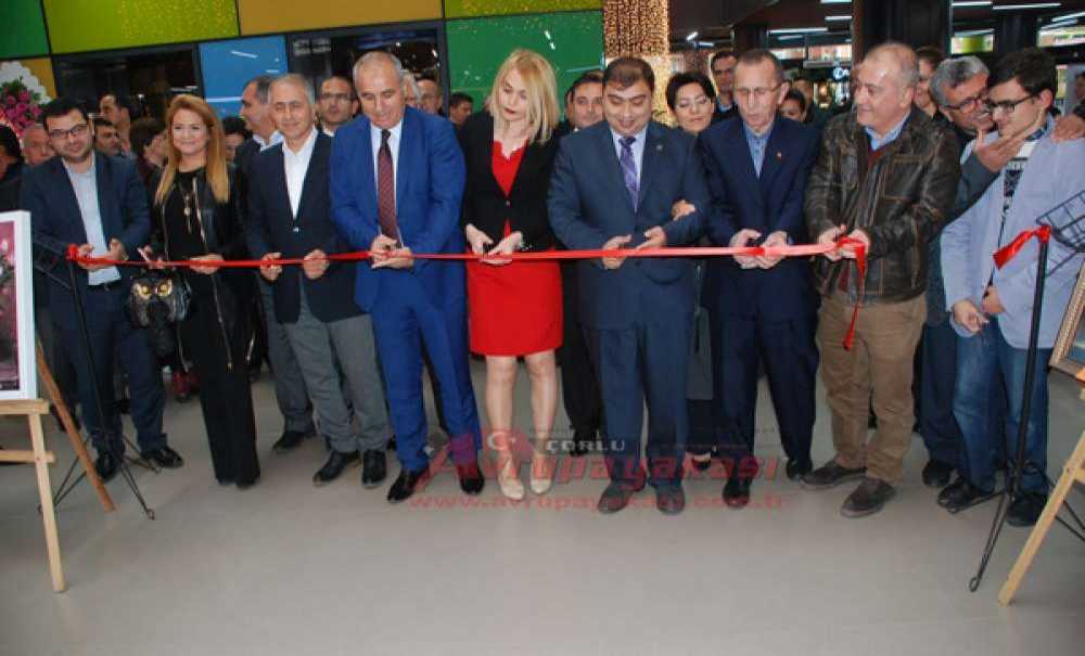 Ressam Seyhan Umay Yıldırım İlk Kişisel Sergisini Açtı