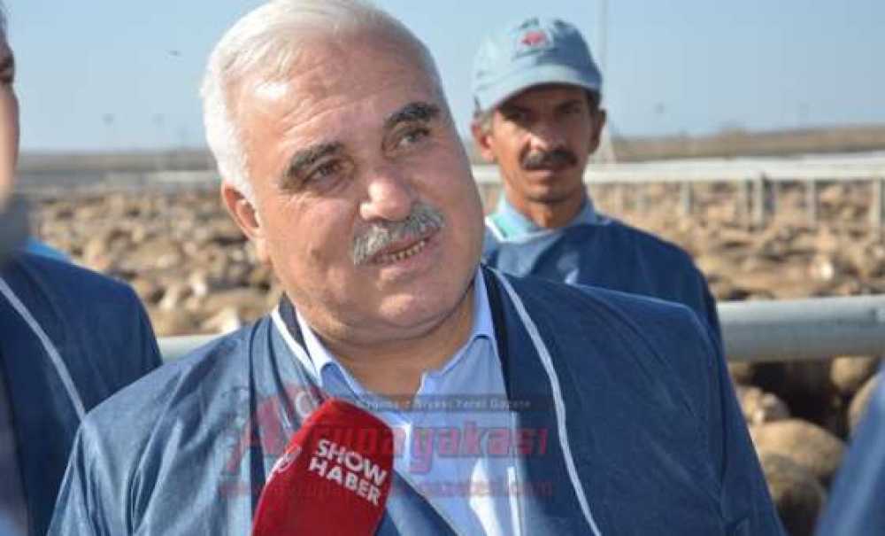 Angus Çiftliği Kapılarını Milletvekillerine Açtı