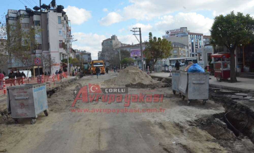 Aslan Sokak Perişan